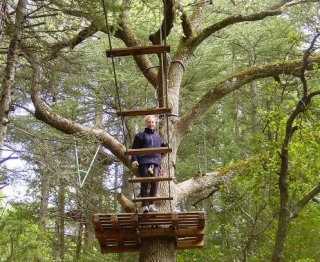  Un recorrido suspendido entre los árboles 